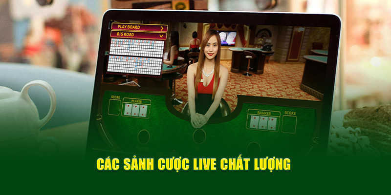 cac-sanh-cuoc-live-chat-luong