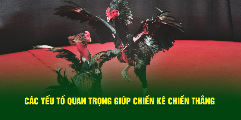 cac-yeu-to-quan-trong-giup-chien-ke-chien-thang