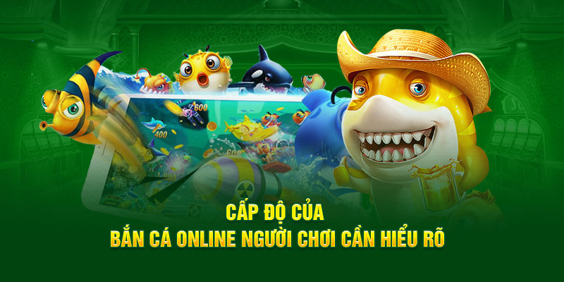 cap-do-cua-ban-ca-online-nguoi-choi-can-hieu-ro