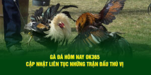 ga-da-hom-nay-ok365-cap-nhat-lien-tuc-nhung-tran-dau-thu-vi