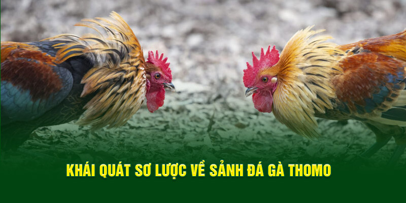 khai-quat-so-luoc-ve-sanh-da-ga-thomo