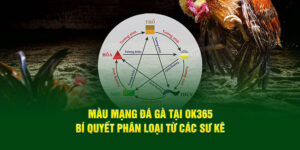 mau-mang-da-ga-tai-ok365-bi-quyet-phan-loai-tu-cac-su-ke