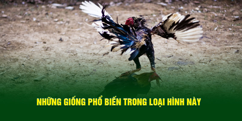 nhung-giong-pho-bien-trong-loai-hinh-nay