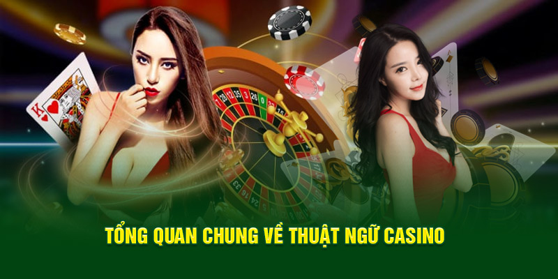 tong-quan-chung-ve-thuat-ngu-casino