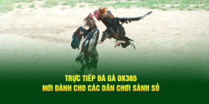 truc-tiep-da-ga-ok365-noi-danh-cho-cac-dan-choi-sanh-so